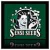 sensi-seeds-feminized