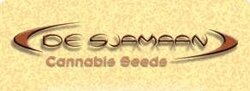 De Sjamaan cannabis seeds