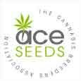 Ace Seeds