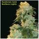 Seedsman Seeds - Northern Lights