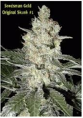 Seedsman Seeds - Original Skunk #1