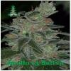 Reserva Privada seeds Apollo 13 sativa