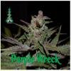 Reserva Privada seeds Purple Wreck