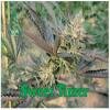 Reserva Privada seeds Sweet Timer