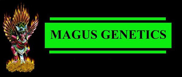 Magus Genetics