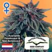 Dutch Passion seeds Durban Poison SATIVA REGULAR