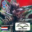 Dutch Passsion seeds - Shaman - feminised