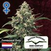 Dutch Passion seeds - Strawberry Cough - Feminized