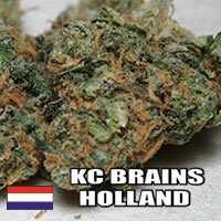 K.C. Brains - California Special