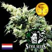 Sensi Seed Bank - Hash Plant