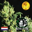 Sensi Seed Bank - Jack Herer