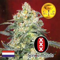 Serious Seeds AK-47 regular