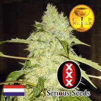 Serious Seeds Bubble Gum