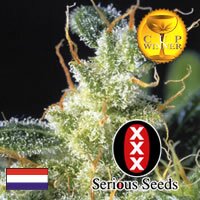 Serious Seeds - Kali Mist - SATIVA