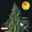 T.H.Seeds S.A.G.E -SATIVA